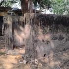 November 2025: Jaaaaaa wir haben es geschafft!