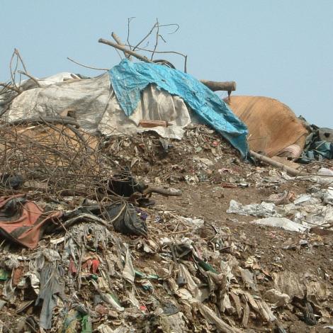  Street and garbage children