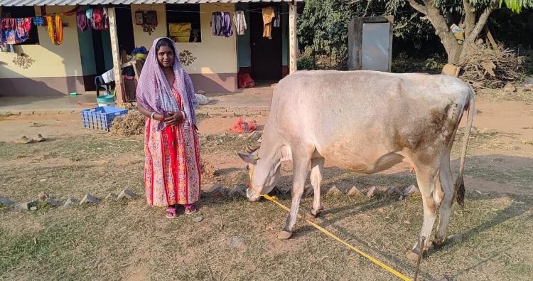 Tiere für die Ärmsten