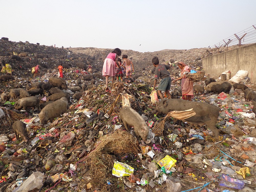 I bambini di strada di Calcutta - Progetti - Theiner Petra